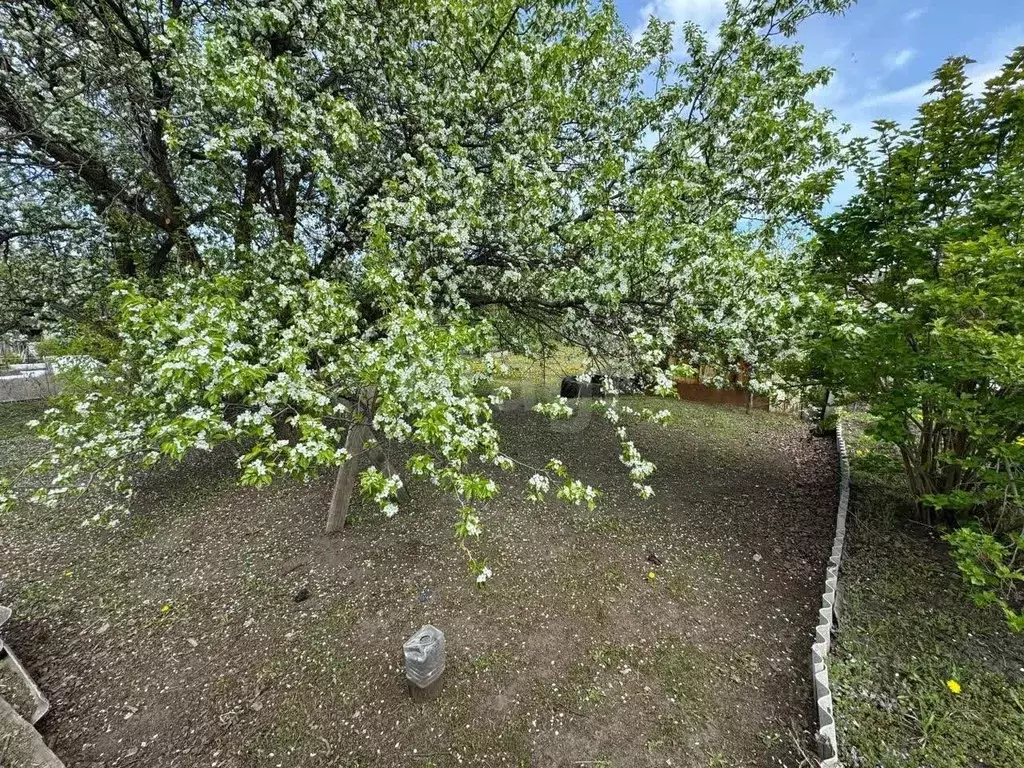 Участок в Амурская область, Благовещенск Гордеево СТ,  (6.53 сот.) - Фото 2