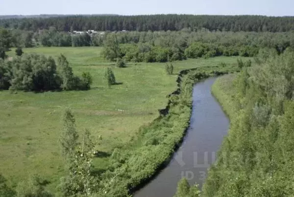 Участок в Алтайский край, Косихинский район, с. Косиха Береговая ул., ... - Фото 1