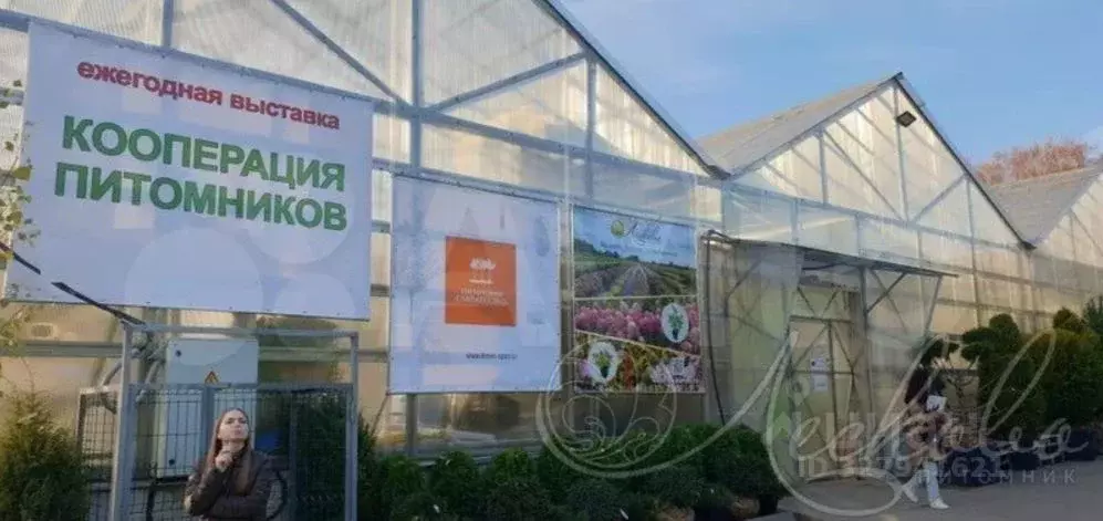 Участок в Пермский край, Пермский муниципальный округ, Южные Протасы ... - Фото 2