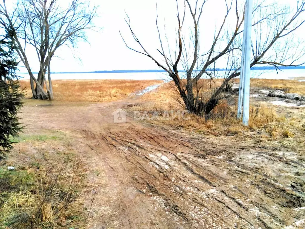 Участок в Московская область, городской округ Шатура, деревня ... - Фото 1