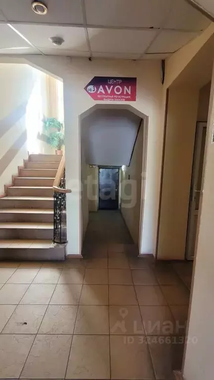 Помещение свободного назначения в Брянская область, Брянск просп. ... - Фото 1