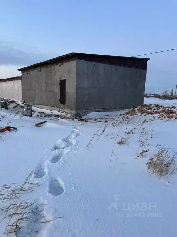 Гараж в Кемеровская область, Ленинск-Кузнецкий ул. Лесной городок, 31 ... - Фото 1