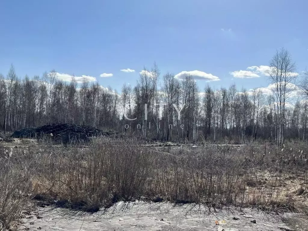 Участок в Тюменская область, Тюмень Велижанский тракт, 6-й км ... - Фото 0