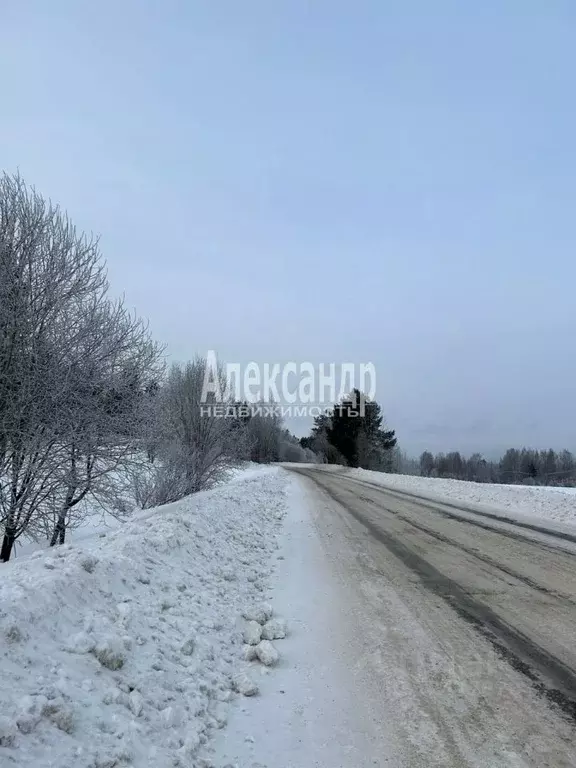 Участок в Ленинградская область, Приозерский район, Мельниковское ... - Фото 1