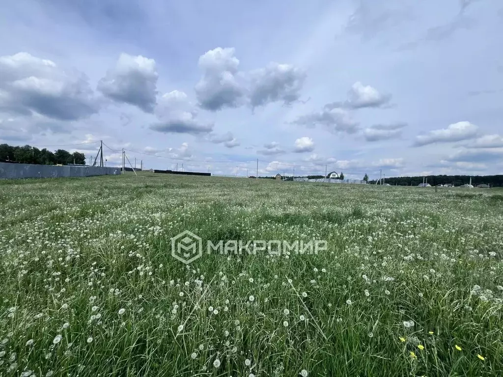 Участок в Челябинская область, Сосновский муниципальный округ, с. ... - Фото 2