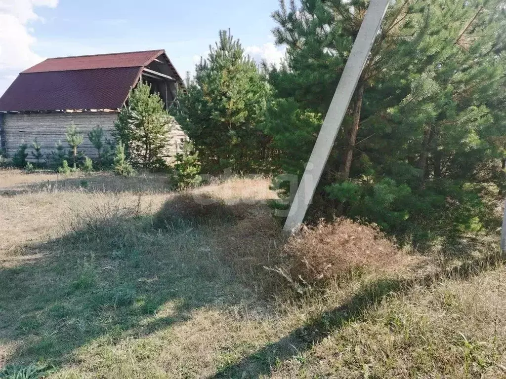 Дом в Пензенская область, Лунинский район, с. Большой Вьяс ... - Фото 1
