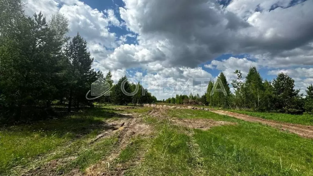 Участок в Тюменская область, Тюменский район, Онегин кп ул. Миллионная ... - Фото 0