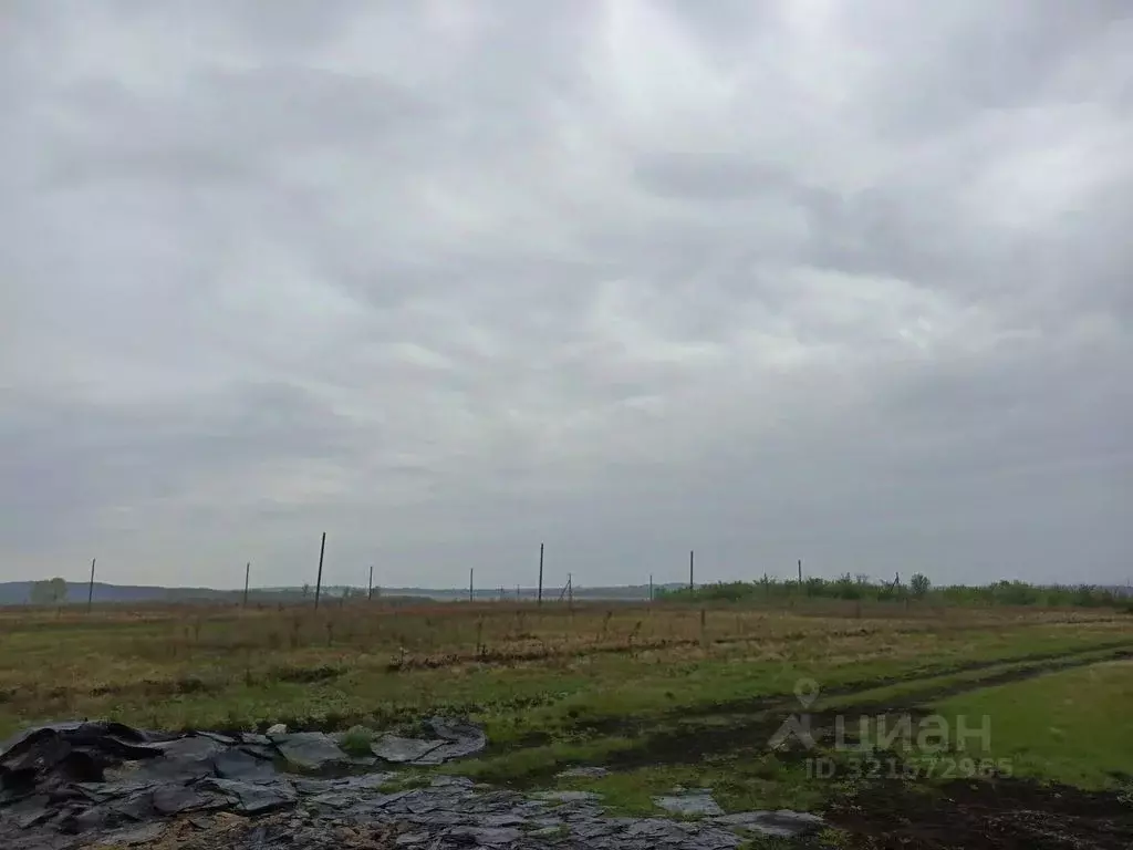 Участок в Оренбургская область, Оренбургский район, Сергиевский ... - Фото 2