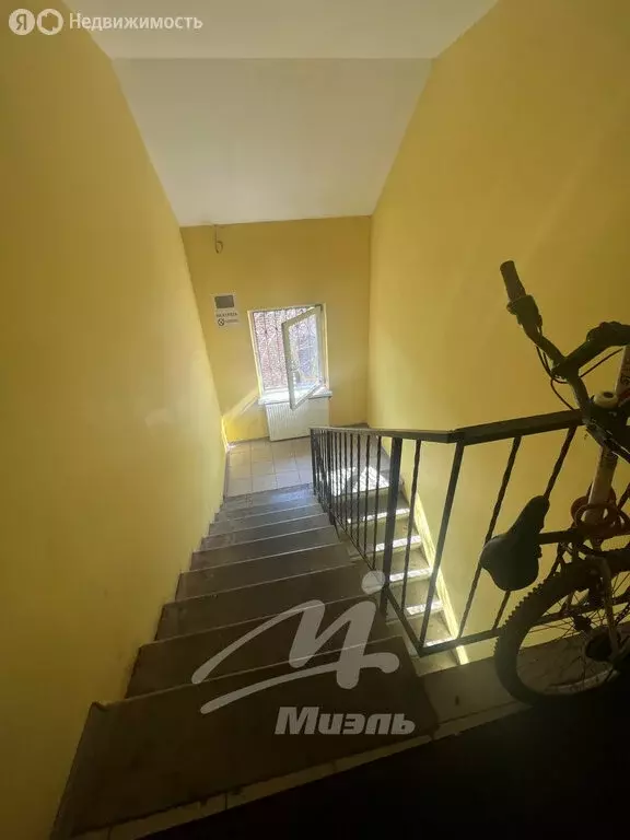 Квартира-студия: деревня Медвежьи Озёра, Садовая улица, 45А (21.6 м) - Фото 2