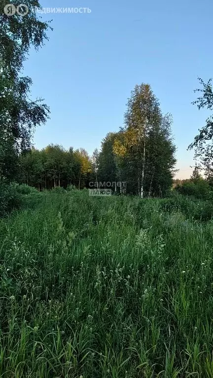 Участок в Томский район, село Тахтамышево, СНТ Ветеран-3 (7.18 м) - Фото 1