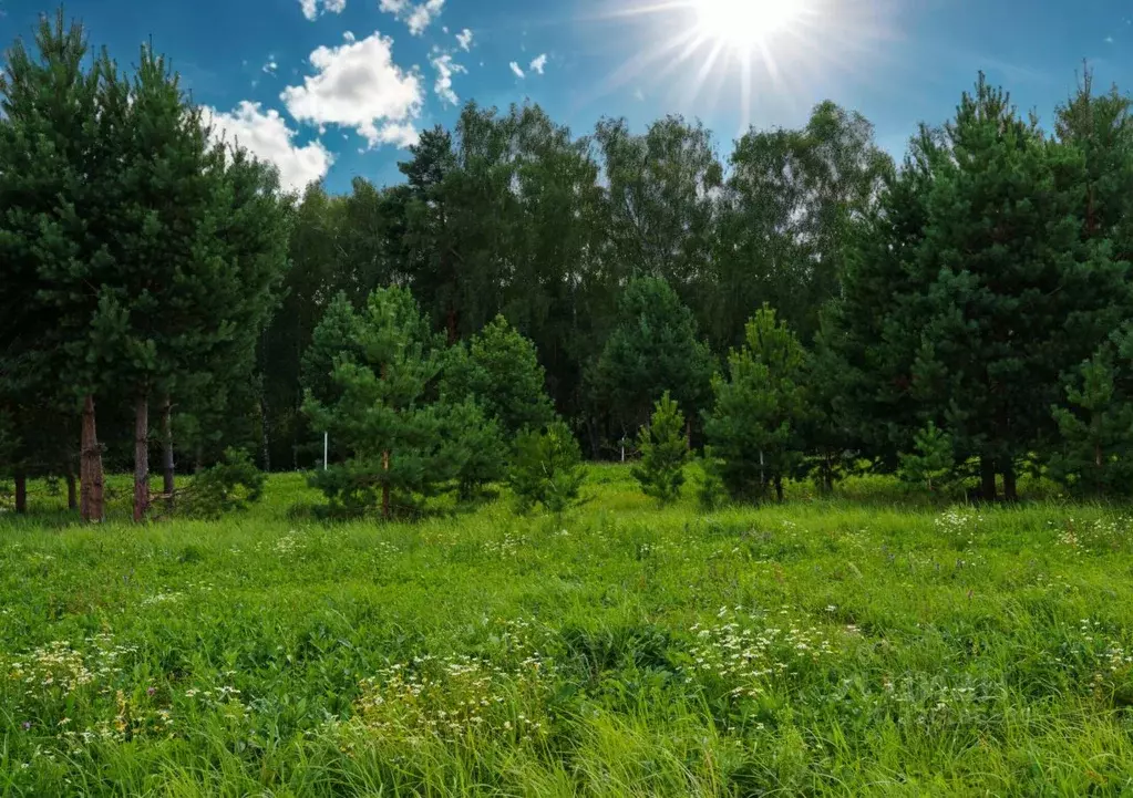 Участок в Московская область, Ступино городской округ, Кедровый парк ... - Фото 0