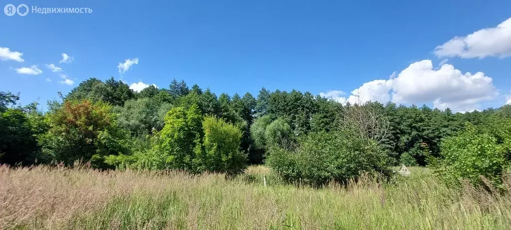 Дом в село Песковатка-Боярская, Набережная улица, 143 (58 м) - Фото 1