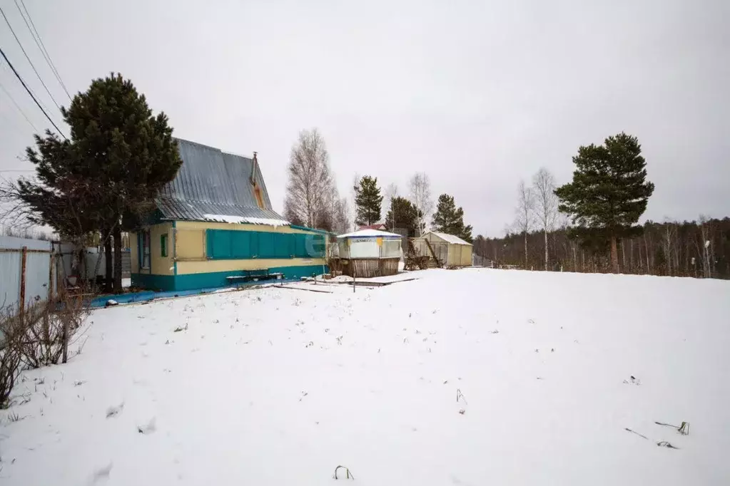 Участок в Ханты-Мансийский АО, Пыть-Ях Центральная ул. (8.0 сот.) - Фото 1