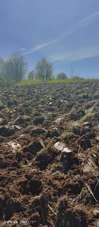 Участок в Пермский край, Краснокамский городской округ, д. Большая ул. ... - Фото 0