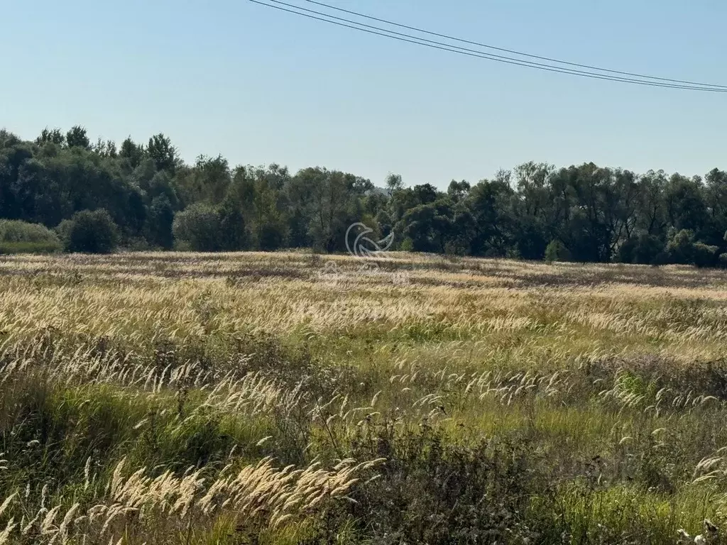 Участок в Московская область, Ступино городской округ, с. Мещерино  ... - Фото 0