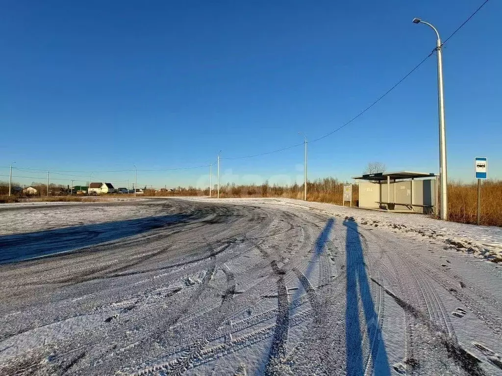 Участок в Тюменская область, Тюмень Царево садовое товарищество,  ... - Фото 1