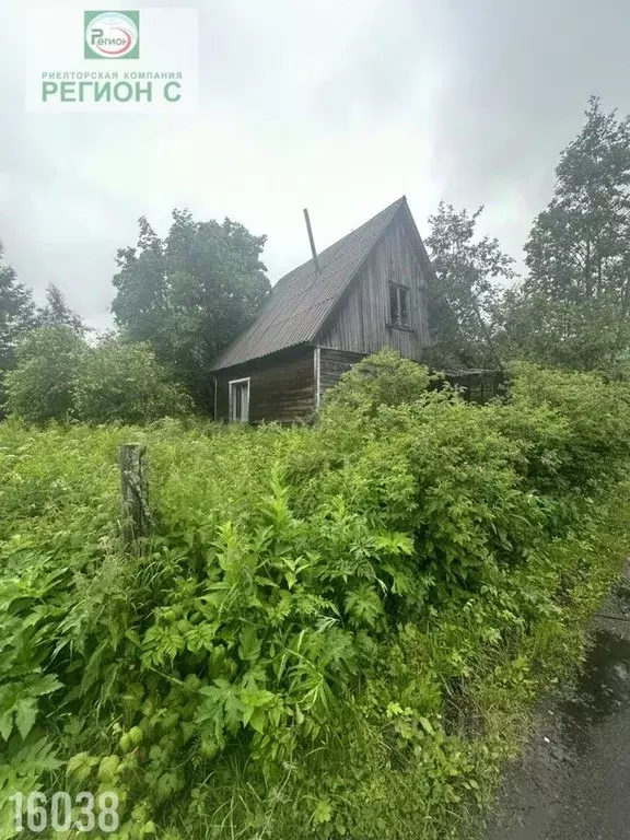 Дом в Архангельская область, Приморский муниципальный округ, ... - Фото 1