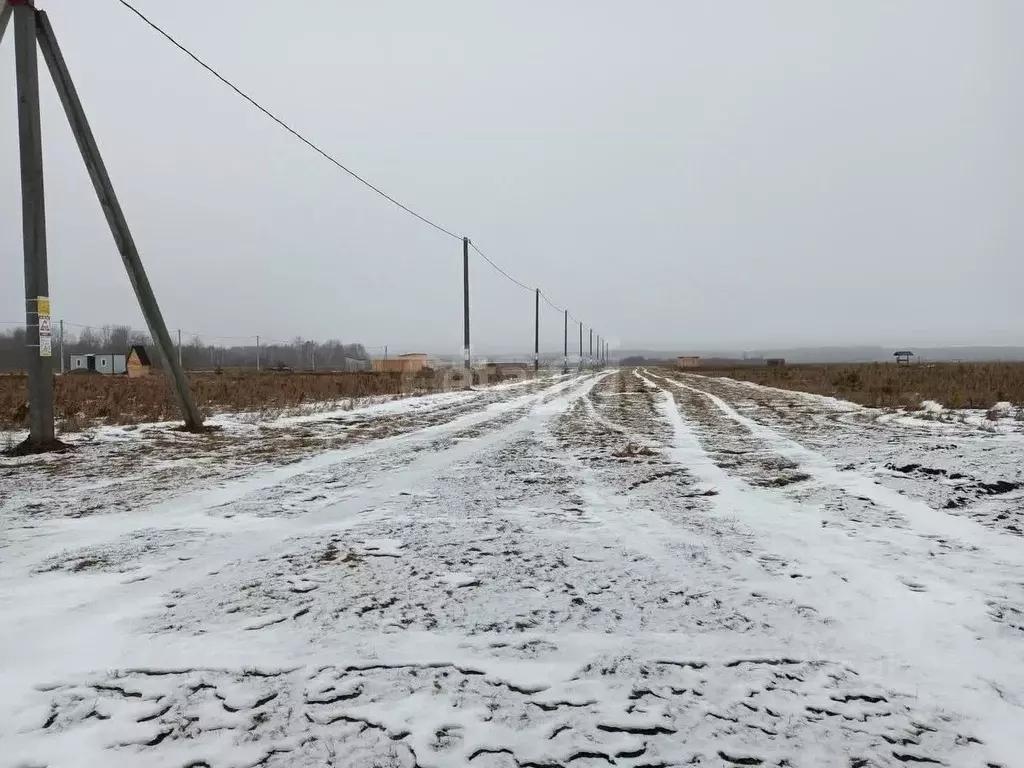 Участок в Тюменская область, Тюменский район, с. Кулига  (8.51 сот.) - Фото 1