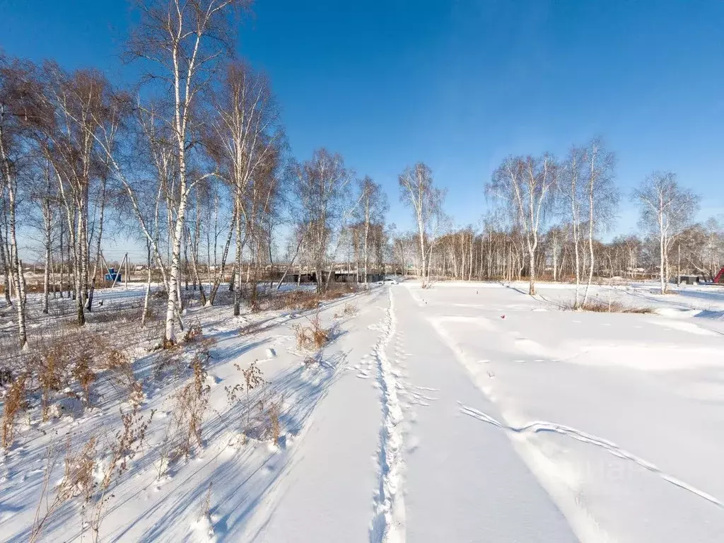 Участок в Тюменская область, Нижнетавдинский муниципальный округ, ... - Фото 1