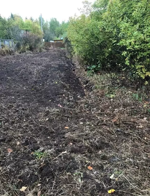Участок в Кировская область, Кирово-Чепецкий район, Пасеговское с/пос, ... - Фото 2
