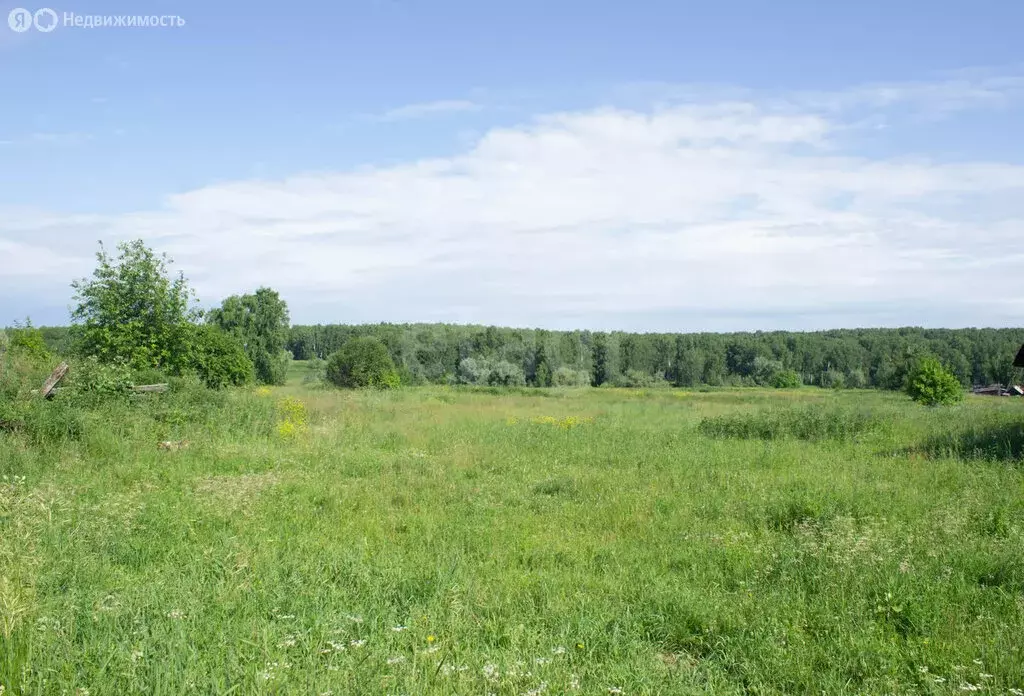 Участок в Тюменская область, Заводоуковский муниципальный округ, село ... - Фото 2
