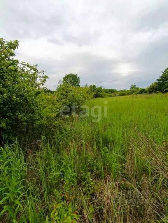 Участок в Адыгея, Майкоп городской округ, Гавердовский хут. ул. ... - Фото 1