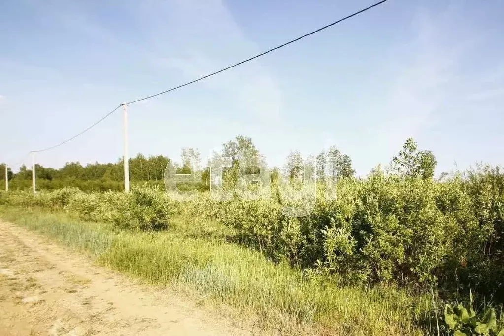 Участок в Тюменская область, Ялуторовский муниципальный округ, ... - Фото 2