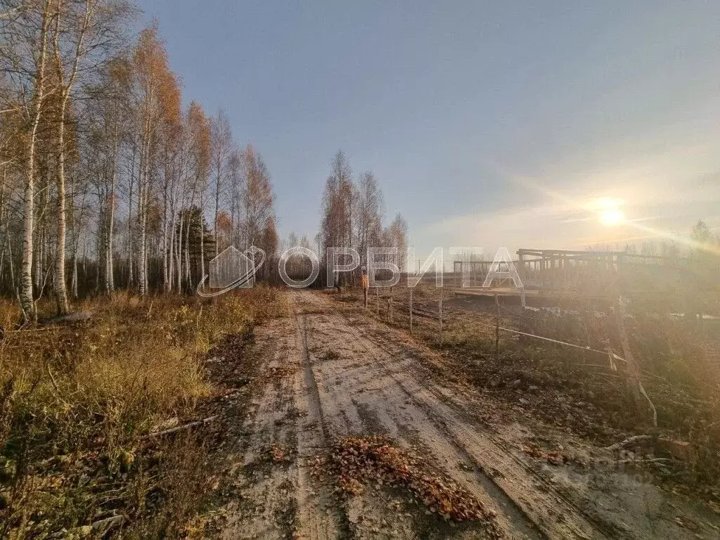 Участок в Тюменская область, Нижнетавдинский район, Строитель ТСН 786 ... - Фото 1