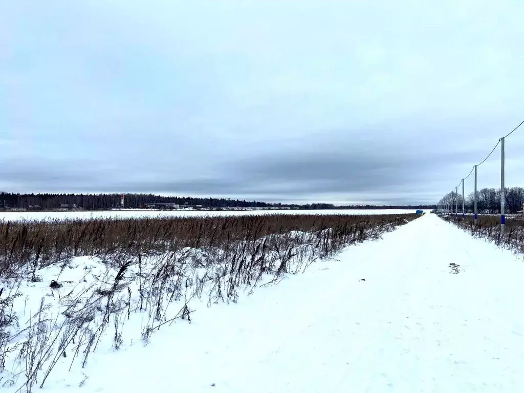 Участок в Московская область, Раменский городской округ, д. Вохринка  ... - Фото 1