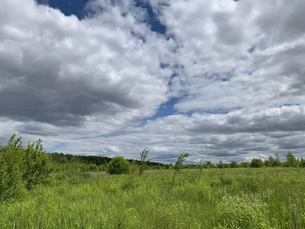 Участок в Нижегородская область, с. Безводное уч77 (13.0 сот.) - Фото 1
