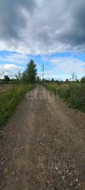Участок в Красноярский край, Березовский район, Есаульский сельсовет, ... - Фото 0