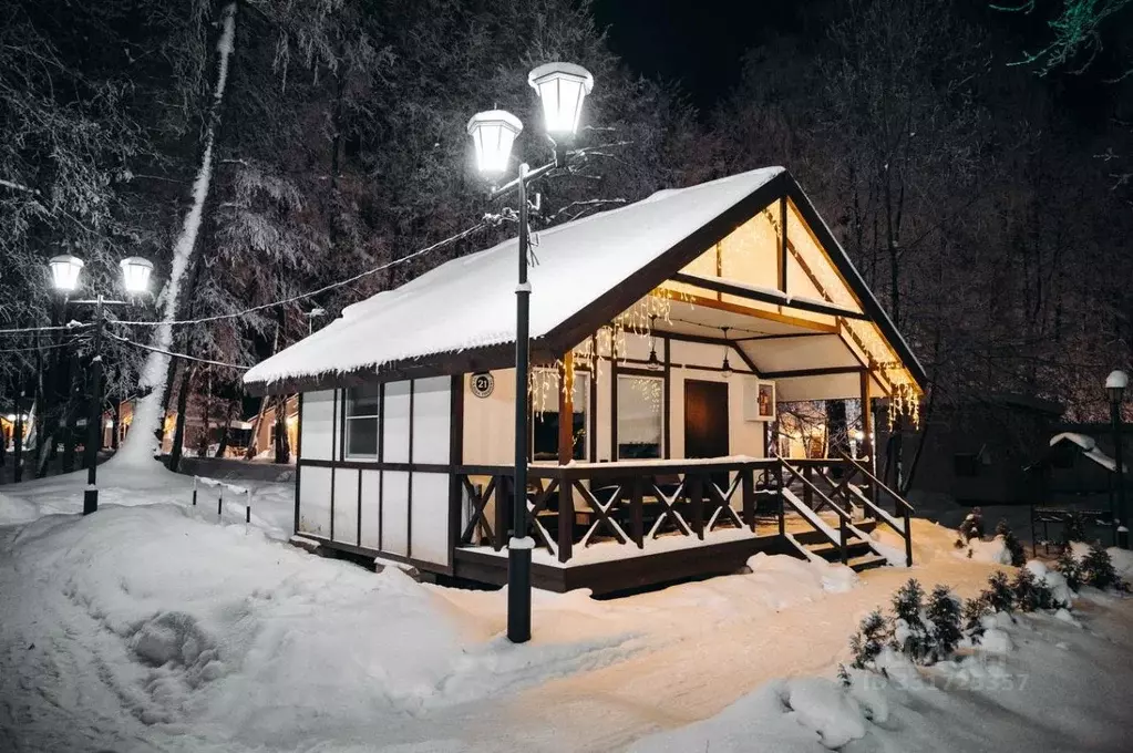 Дом в Московская область, Щелково городской округ, д. Гребнево 1 (24 ... - Фото 1