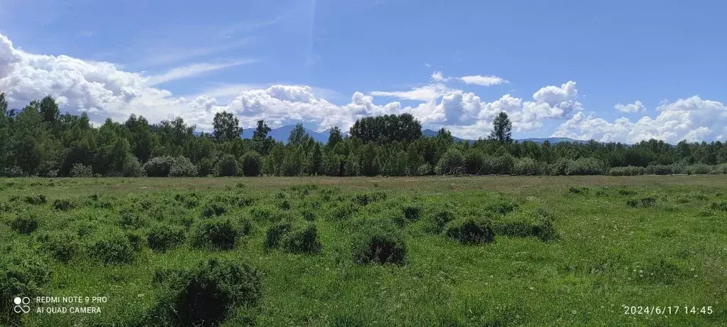 Участок в Алтай, Усть-Коксинский район, пос. Октябрьское ул. Дорожная ... - Фото 2
