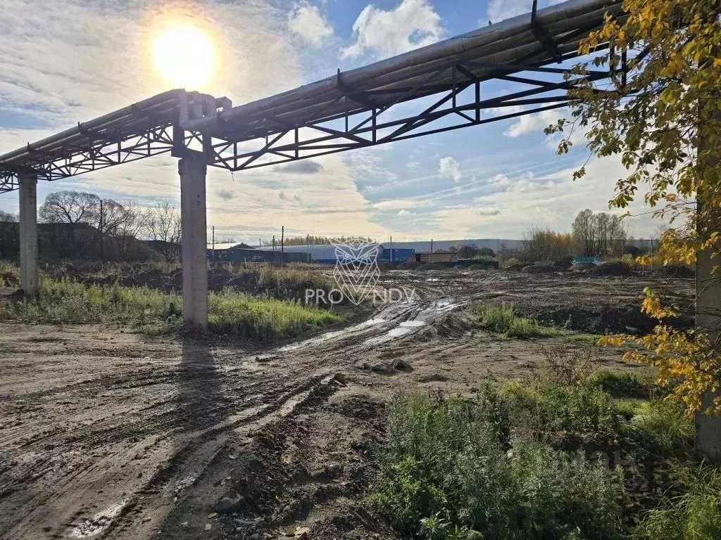 Участок в Московская область, Пушкинский городской округ, с. ... - Фото 1