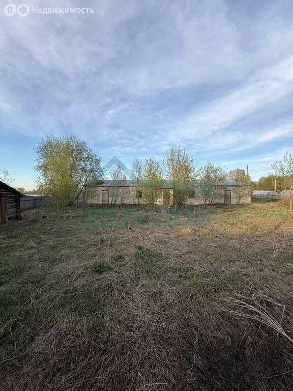 Участок в село Репьёво, Береговая улица, 6/1 (64 м) - Фото 2