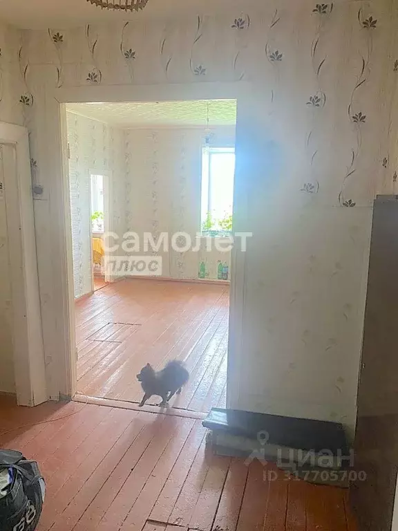 2-к кв. Кемеровская область, Рудничный пгт ул. Советская, 8 (41.4 м) - Фото 2