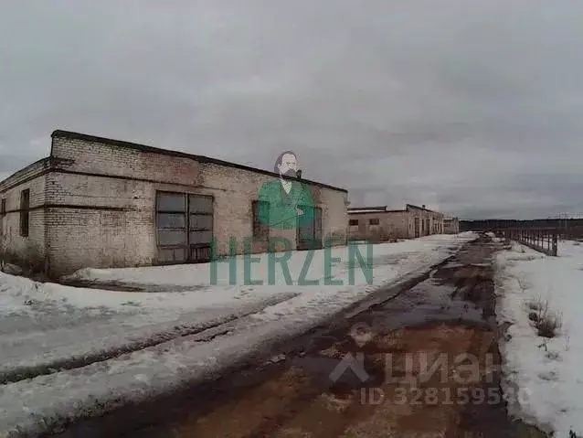 Склад в Москва д. Кузнецово,  (15000 м) - Фото 1