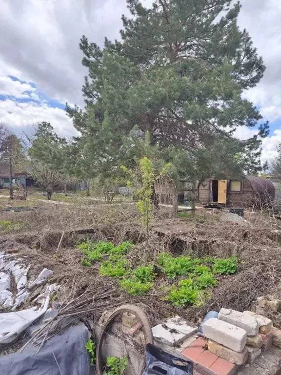 Участок в Оренбургская область, Оренбургский район, Степановский ... - Фото 2