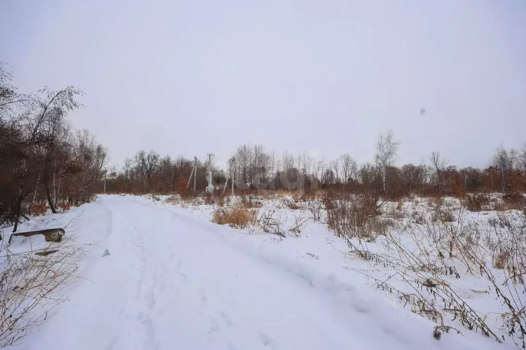 Участок в Еврейская автономная область, Смидовичский район, пос. ... - Фото 1