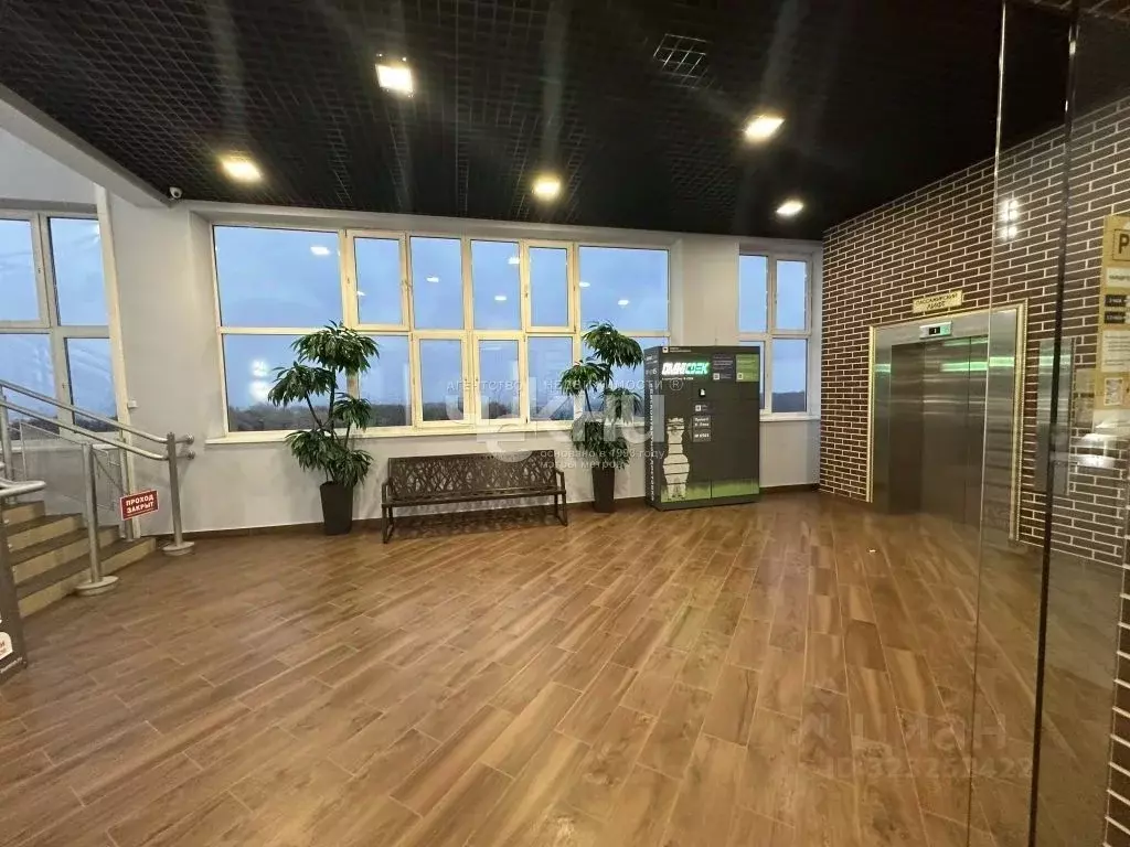 Торговая площадь в Нижегородская область, Нижний Новгород ул. ... - Фото 2