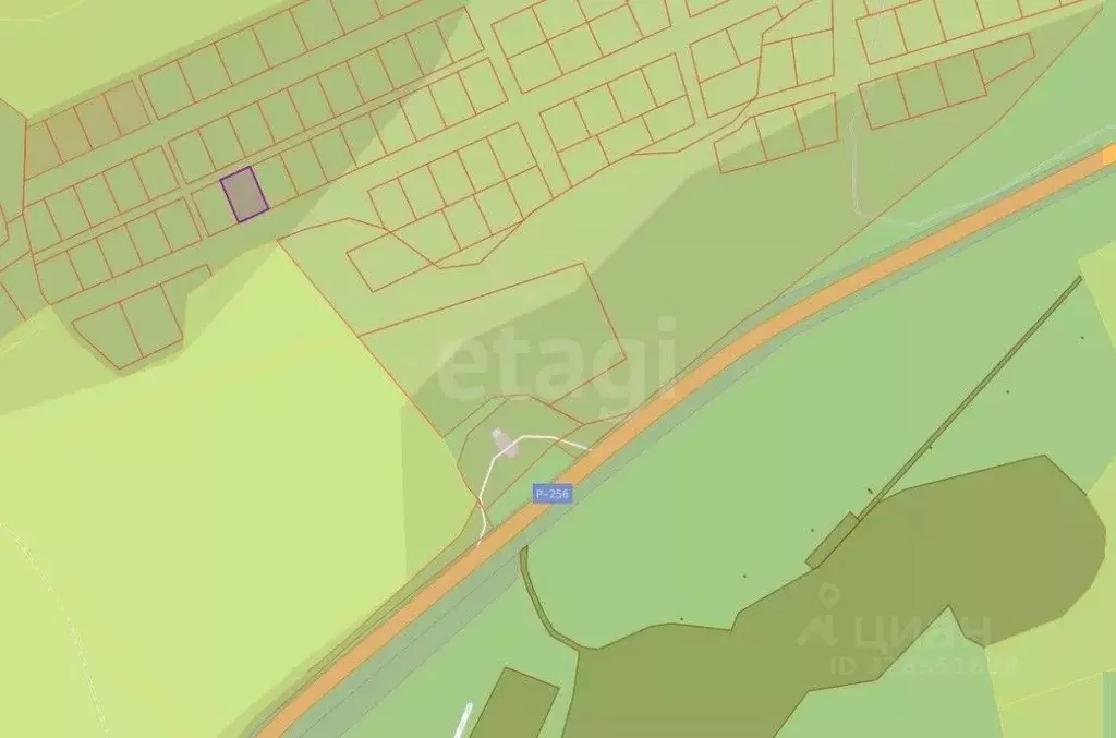 Участок в Алтай, Майминский район, Соузгинское с/пос, пос. Черемшанка ... - Фото 1