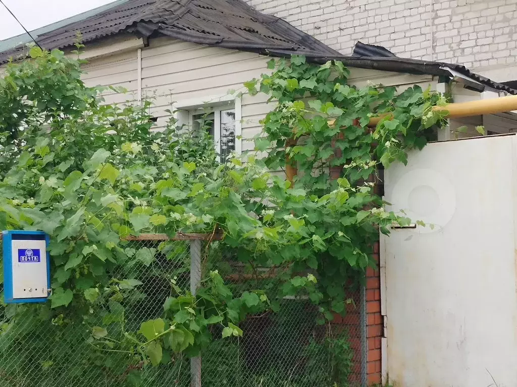 Дом 24 м на участке 1 сот. - Фото 0