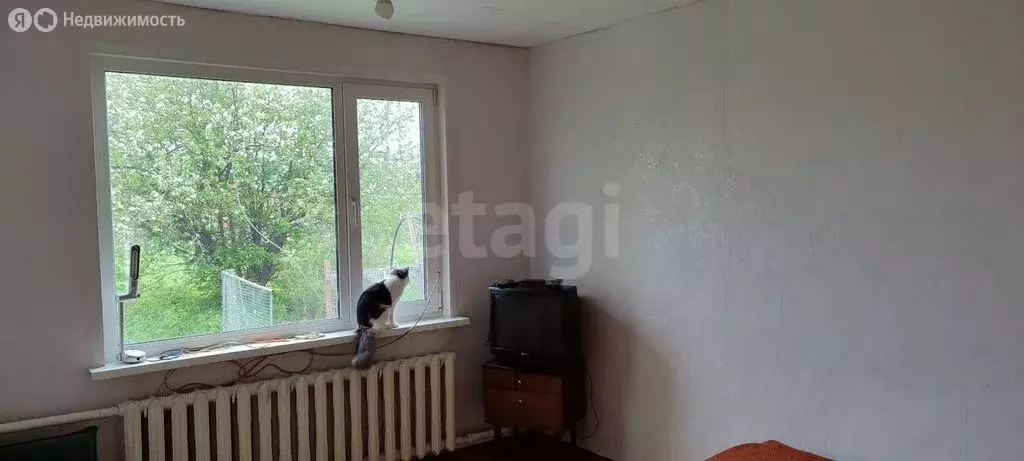 Дом в село Криводановка, Озёрная улица (78 м) - Фото 1