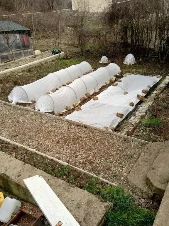 Участок в Севастополь СТ Дружба ТСН, 57 (6.8 сот.) - Фото 2