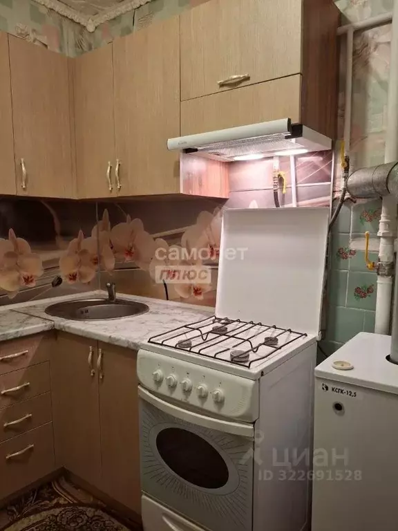 3-к кв. Курская область, Касторенский район, Поселок Новокасторное ... - Фото 2