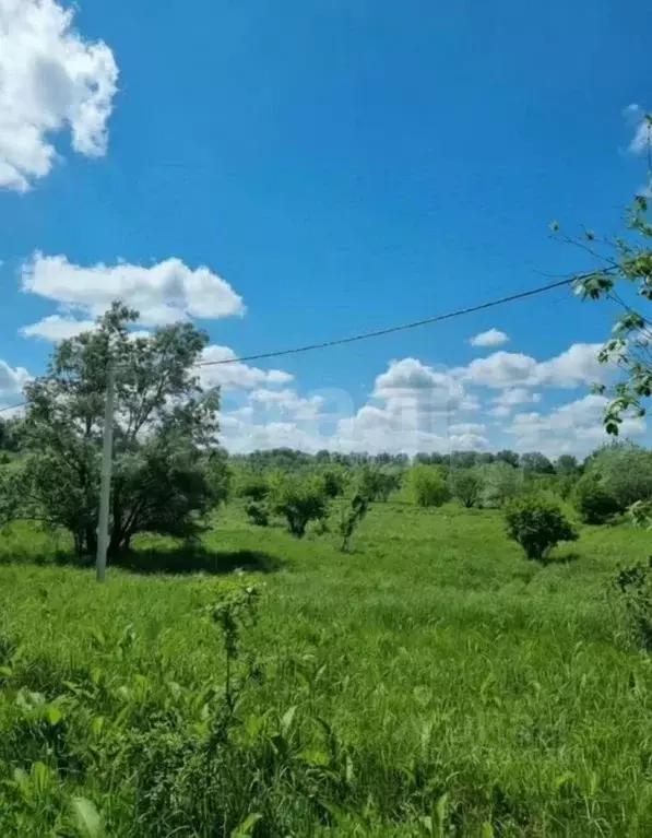 Участок в Краснодарский край, Горячий Ключ  (600.0 сот.) - Фото 1