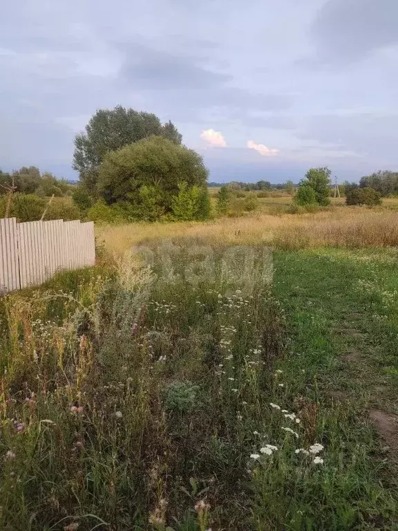 Участок в Воронежская область, Новоусманский район, пос. Отрадное ул. ... - Фото 0