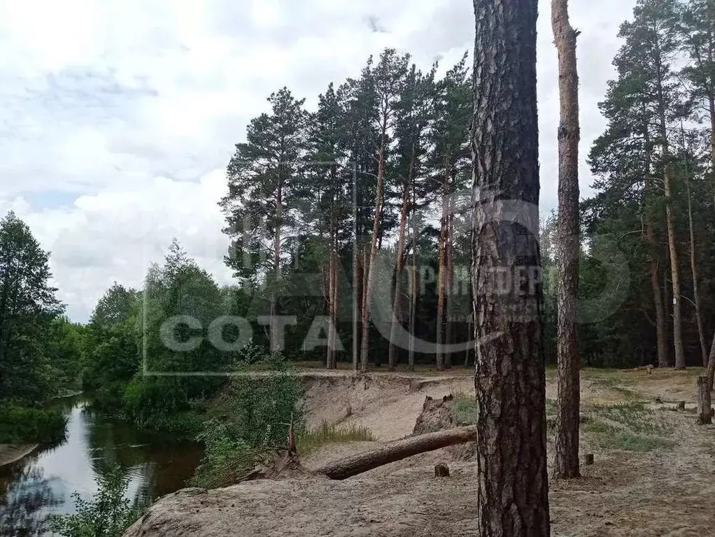 Дом 194 м на участке 7 сот. - Фото 1