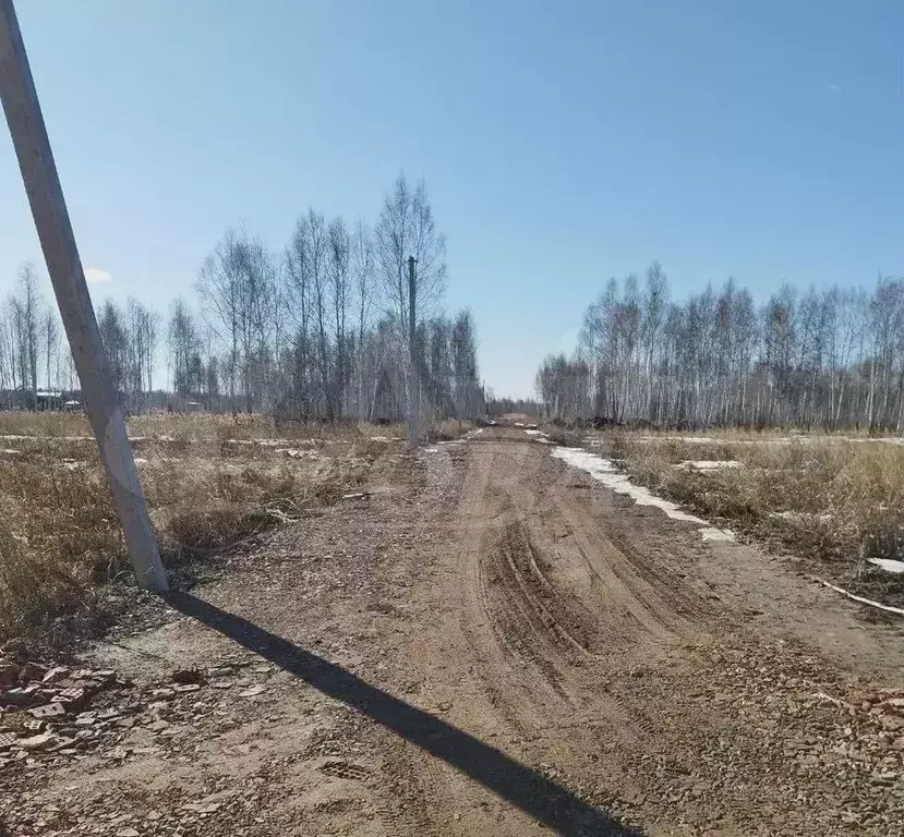 Участок 6 сот. (СНТ, ДНП) - Фото 1