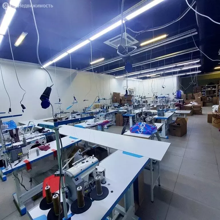 Помещение свободного назначения (225 м) - Фото 2